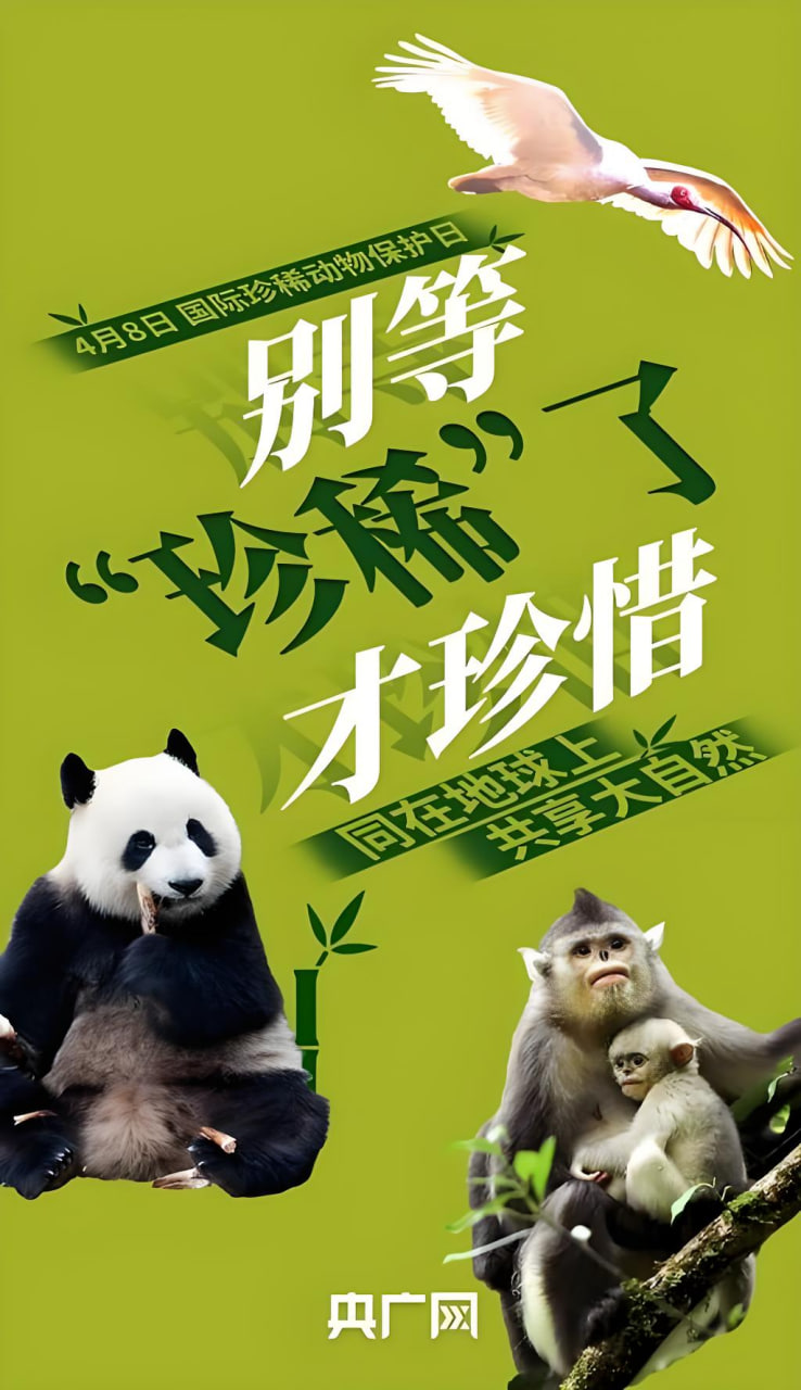 折腰
